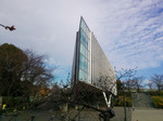 P_20190319_083625.jpg