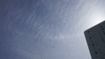 genjitsu.gif