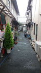 honmachi_1339.JPG