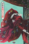 kazemata-5.jpg